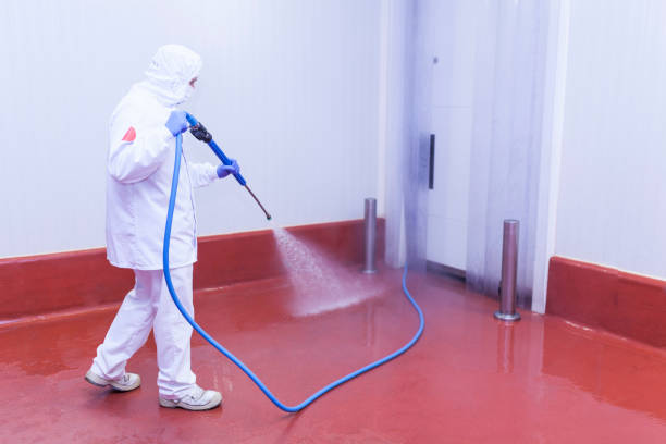 Best Spring Cleaning  in Acton, CA